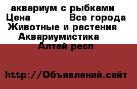 аквариум с рыбками › Цена ­ 1 000 - Все города Животные и растения » Аквариумистика   . Алтай респ.